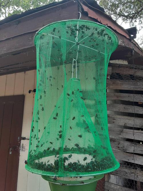 Reusable Fly Trap | fly trap | fruit fly trap | gnat trap | fly catcher | indoor fly trap | outdoor fly trap | horse fly trap | fungus gnat trap | fly strip