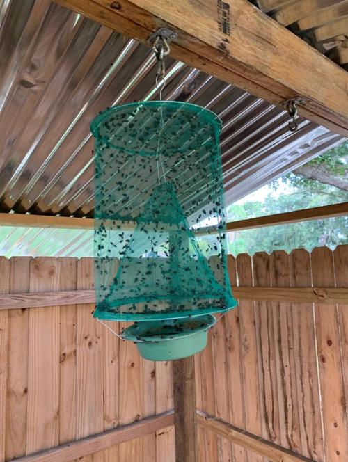 Reusable Fly Trap | fly trap | fruit fly trap | gnat trap | fly catcher | indoor fly trap | outdoor fly trap | horse fly trap | fungus gnat trap | fly strip